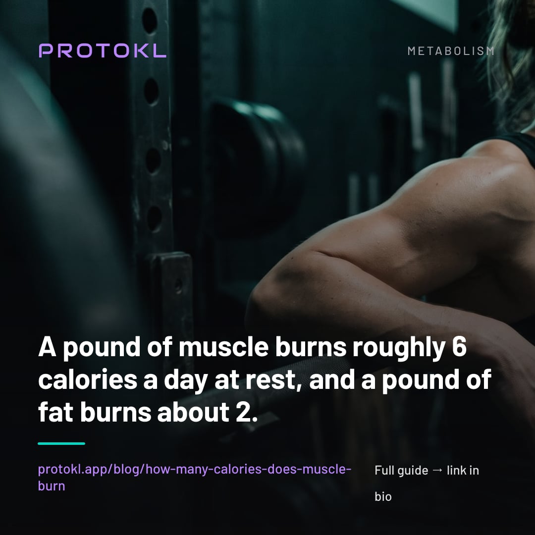 How Many Calories Does a Pound of Muscle Burn at Rest? — shareable social card