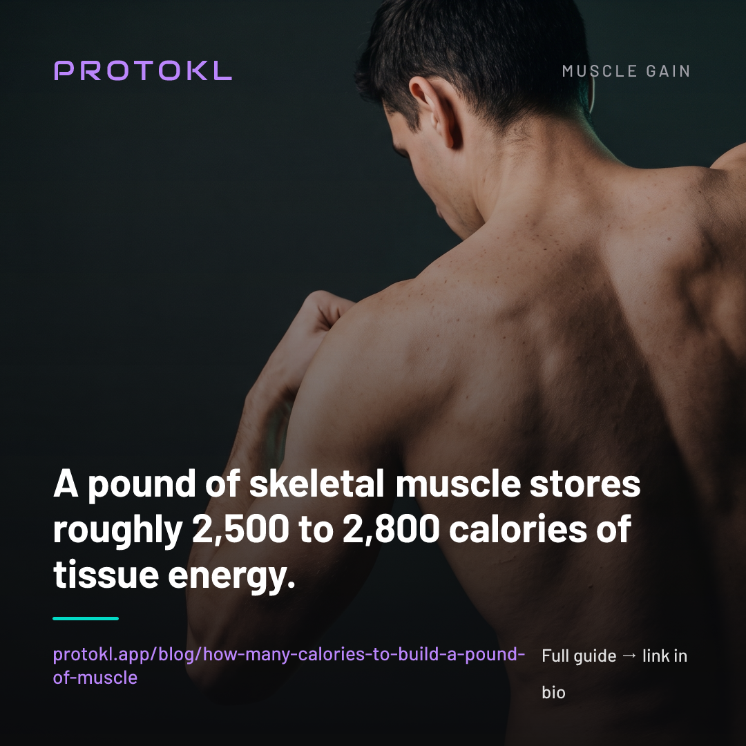 How Many Calories Does It Take to Build a Pound of Muscle? — shareable social card