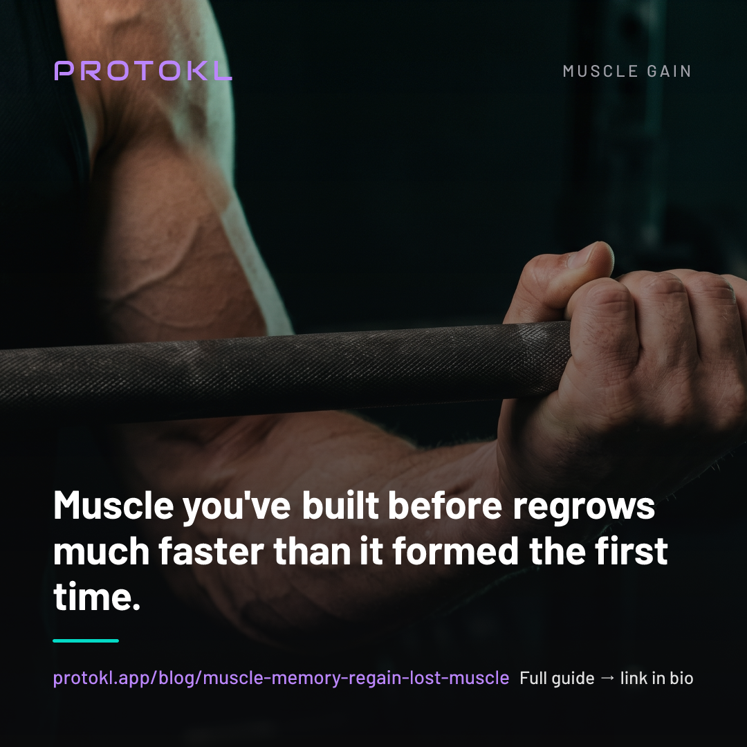Muscle Memory Is Real: How Fast You Regain Lost Muscle After Time Off — shareable social card