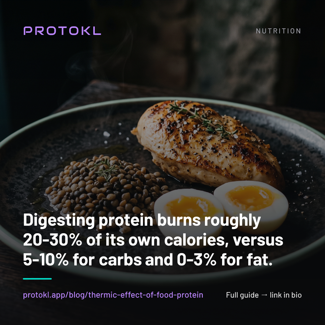 Thermic Effect of Food: Does Protein Actually Burn Calories? — shareable social card